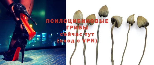 эйфоретик Армянск