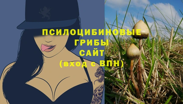 эйфоретик Армянск