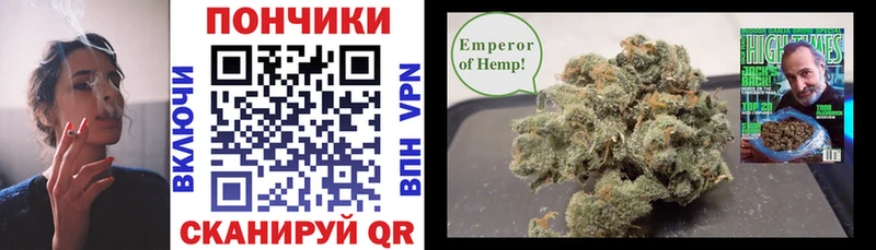 Бошки Шишки SATIVA & INDICA Борзя